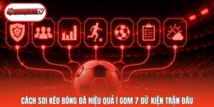 Cách Soi Kèo Bóng Đá Hiệu Quả | Gom 7 Dữ Kiện Trận Đấu